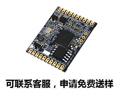 NRK 220 X系列语音识别芯片功能特征